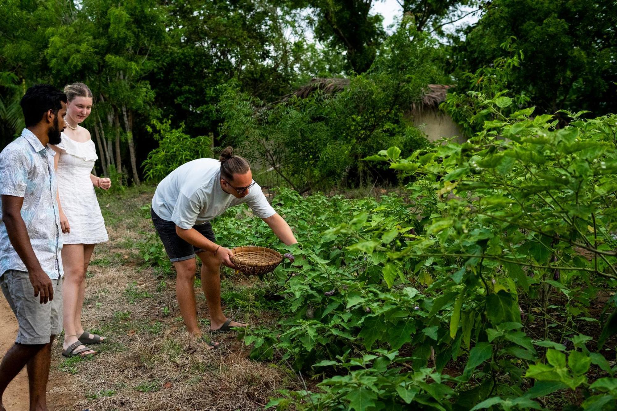 River Paradise Safari House With Cooking Class Udawalawe Exterior foto