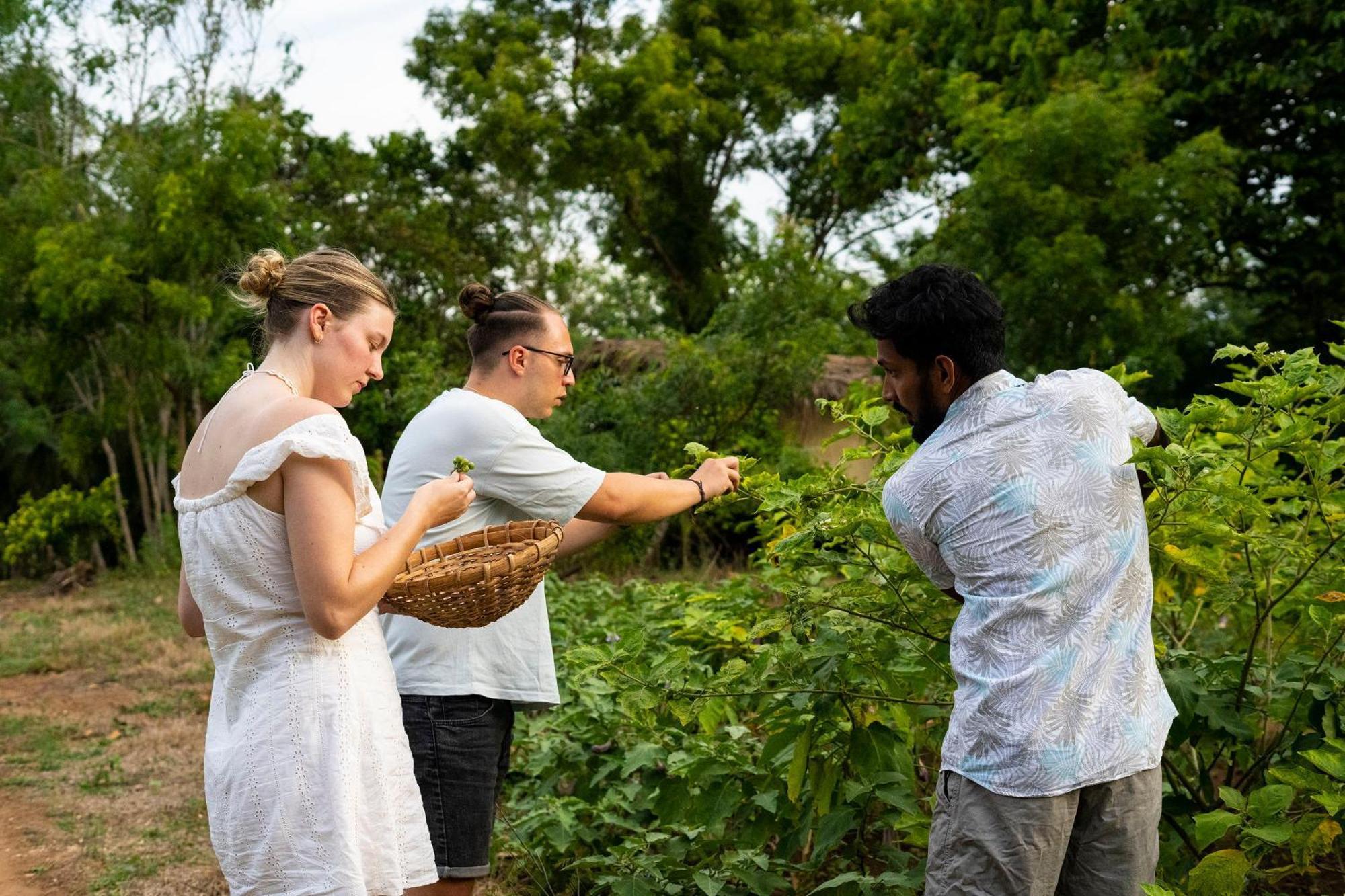 River Paradise Safari House With Cooking Class Udawalawe Exterior foto